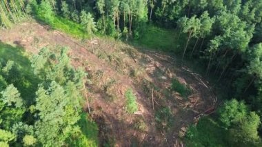 Ormanın ve ormansızlığın havadan görünüşü çevresel etkiyi gösteriyor.