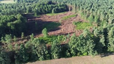 Yeşil orman ve temizlenmiş bölge arasındaki kontrastı gösteren orman tahribatı, üst görünüm