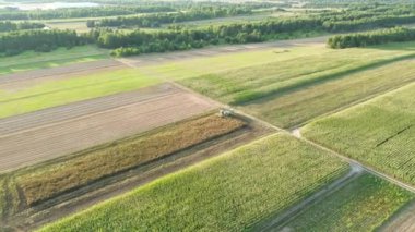 Kırsalda buğday hasat eden makineler.