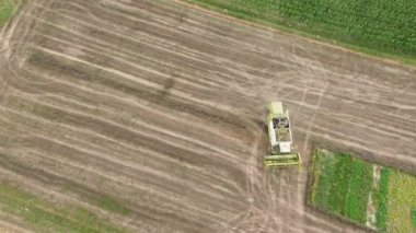 Sonbaharda hasat alanının insansız hava aracı çekimi