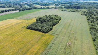 Gökyüzü perspektifinde yeşil mahsullü alanlar