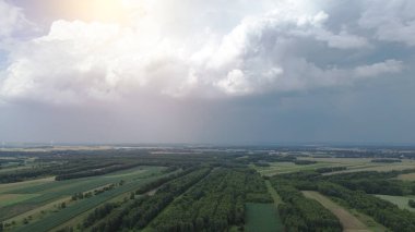 Geniş kırsal alanlar ve bulutlu gökyüzünün altındaki orman
