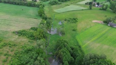 Ağaçların yanındaki göletin havadan görünüşü