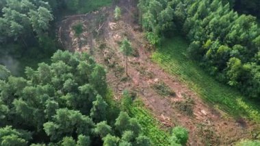 Ormansız bir alandaki kereste yığınları, hava perspektifi