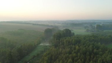 Sel basmış tarım arazileri ve ağaçların havadan görünüşü