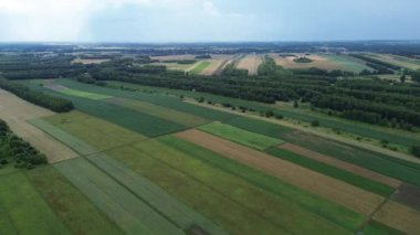 Bereketli bir orman manzarasında yuva yapmış tarım arazileri.