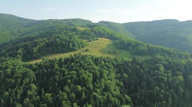 Dağlardaki orman parkının havadan görünüşü, sabah güneşiyle yıkanmış.