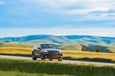 Alman siyah cipi manzaralı bir kır yolunda gidiyor.