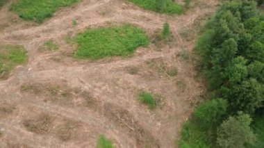 Ormansız bir alandaki istiflenmiş odunların hava görüntüsü