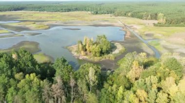Kurumuş göl yatağı orman yakınlarında şiddetli kuraklık belirtileri gösteriyor.