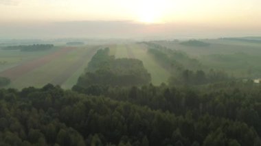 Sakin sisli sonbahar manzarası tarlaları ve ormanlarıyla