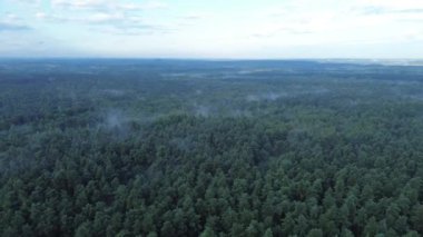 Sisli ormanlık tepe örtüsünün sakin manzarası