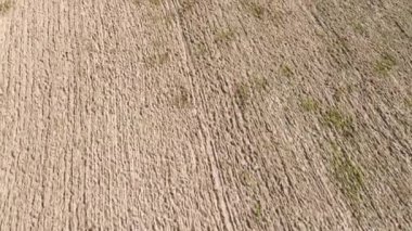 Açık gökyüzünün altında, orman kenarına yakın tarım arazisi sürüldü.