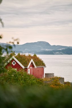 Norveç 'te sonbahar yaprakları arasında sakin kırmızı bir ev.