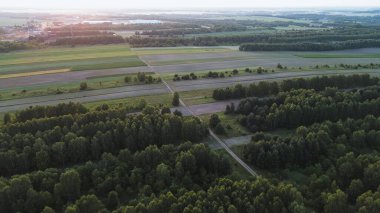 Yaz tarlalarında ve yeşil ormanlarda altın saat gün batımı