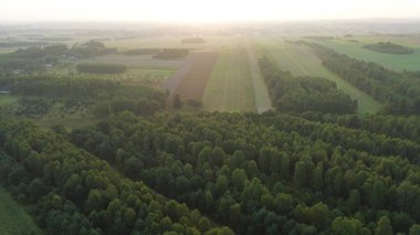 Güneşin doğuşunda ağaçlar ve tepelerle kaplı sis kaplı kırlarda