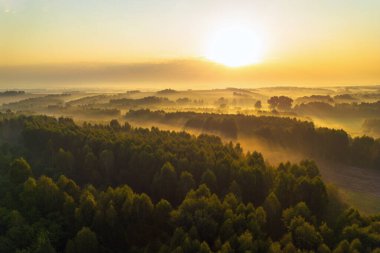 Morning fog over lush green hills and farmland clipart