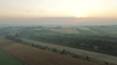 Sonbahar yapraklı huzurlu sisli orman