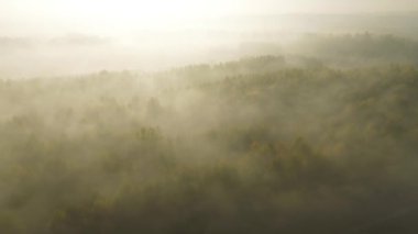 Sabah sisi renkli orman tepelerini kaplıyor.