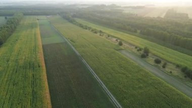 Kırsal düz yol doğa ve tarlalar arasında