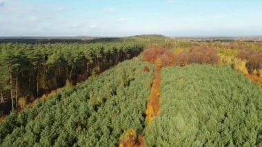 Yukarıdan görülen sonbahar orman renkleri