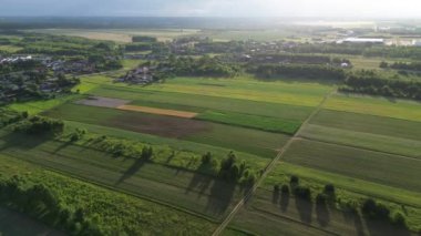 Kırsal alanda yaz yeşilliğinin havadan görünüşü