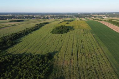 Yaz akşamları orman ve tarlalar havadan bakıldığında