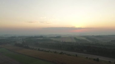 Sabahın erken saatlerinde güneşli sisli orman