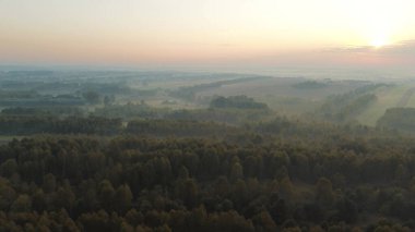 Sonbahar ağaçlarının üzerinde sabah sisi