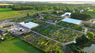 Aerial view of large floriculture fields clipart