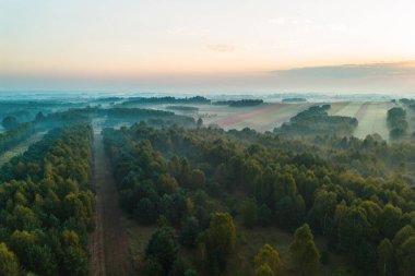 Puslu şafak ışığı ormanı ve çayırları aydınlatıyor.