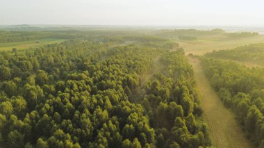 Sabah ışığı yemyeşil ormanın üzerinde, hava manzarası