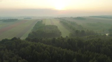 Canlı sonbahar tarlaları ve orman sabah sisiyle örtülü.