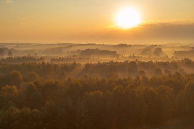 Tarım arazisi üzerine büyüleyici gün doğumu sisi