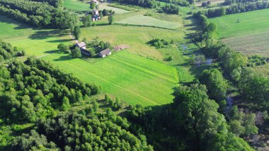 Yaz tarlalarında ve yeşil ormanlarda altın saat gün batımı