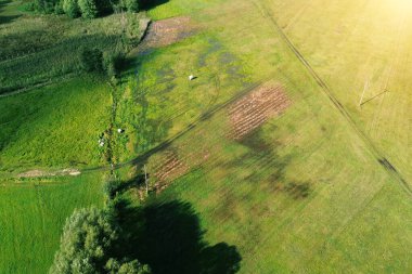Şiddetli yağmur sonrasında Polonya kırsalında sel hasarı