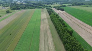 Kırsal Avrupa arazileri ve dağınık ağaçlar üzerinde gün batımı