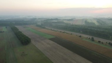 Yeşil kırlarda sabah sisi ve güneş ışığı