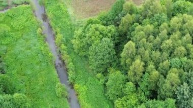 Nehir yemyeşil orman manzarası boyunca ilerliyor.