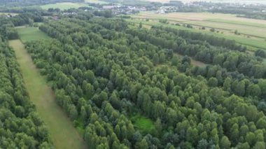 Ormanlık alanın hava perspektifi