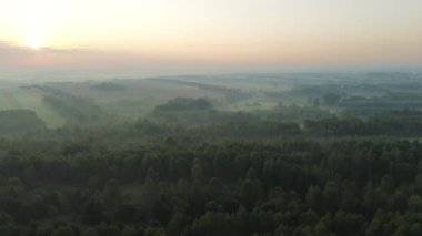 Sis ve sabah ışığı ile hava sonbahar sahnesi