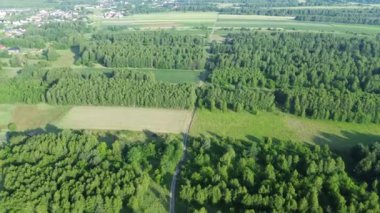 Ormanda ve açık arazilerde toprak izleri.