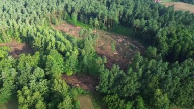 Ormanların tahrip edilmesinden sonra hava manzarası birikti.