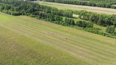 Saman balyalarıyla hasat edilen tarlalar.
