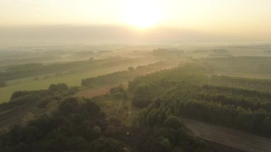 Sisli sonbahar ormanı ve uzak köylü tarlaları
