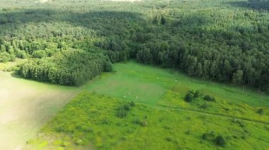 Altın saman yığınlarıyla hasat edilmiş topraklar