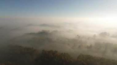 Ağaçlar ve ormanlarla dolu güzel sonbahar manzarası