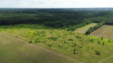 Kırsal alanda Doğal Ağaç Büyümesi