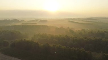 Yeşil, kırsal Avrupa manzarasında manzara sisli