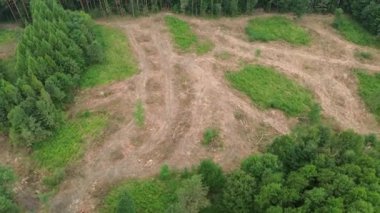 Bereketli yeşil ormanın insansız hava aracı görüntüsü ormanların tahrip edilmesi nedeniyle temizlenmiş topraklarla çelişiyor.